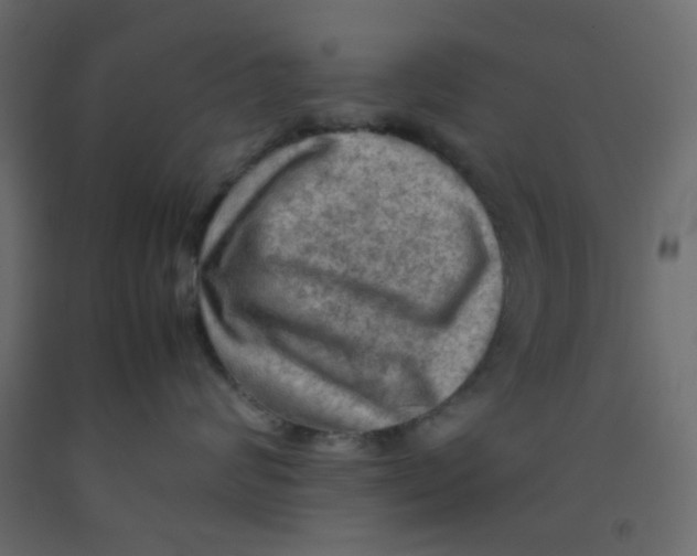 X0000092090624200710101102