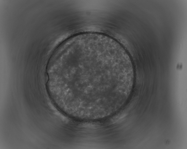 X0000092090625200710101101