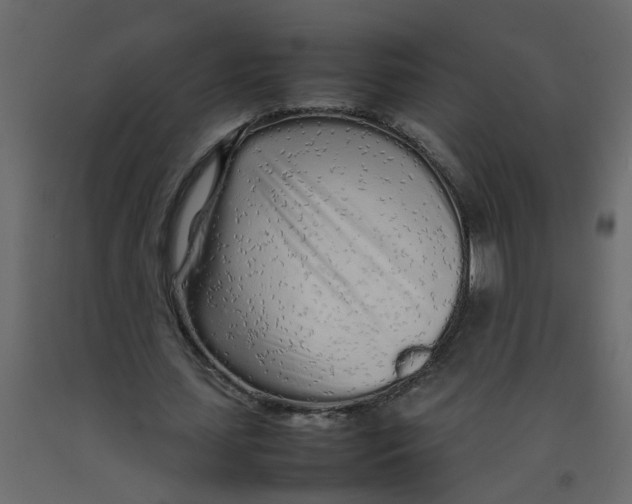 X0000092090627200710101101