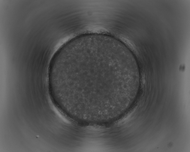 X0000092090630200710101102