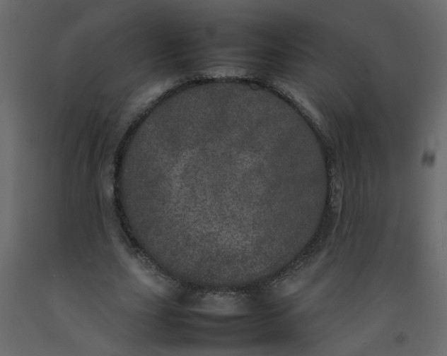 X0000092090631200710101102