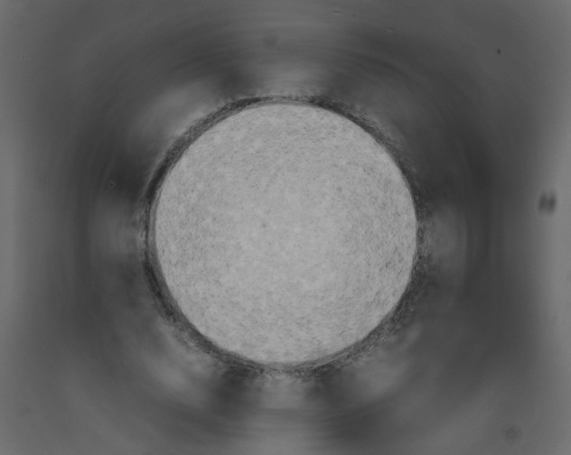 X0000092090632200710101102