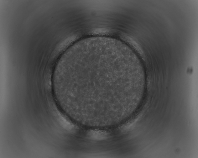 X0000092090633200710101102