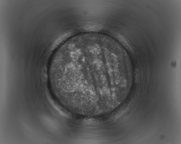 X0000092090634200710101102