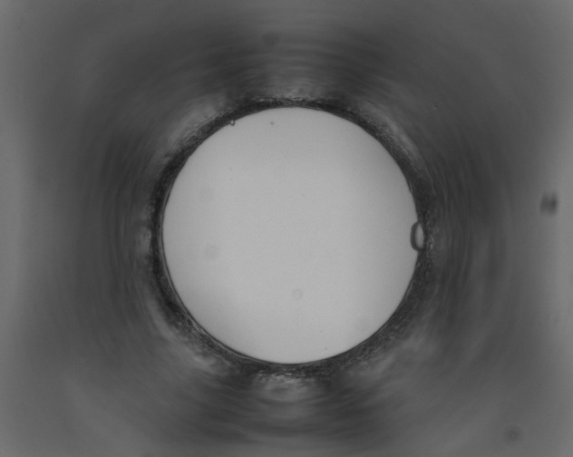X0000092090635200710101102