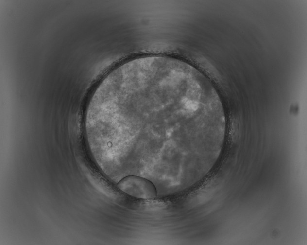 X0000092090636200710101102