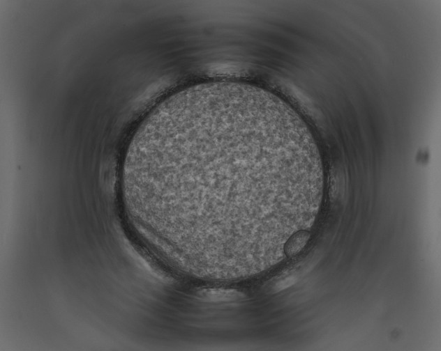X0000092090637200710101102