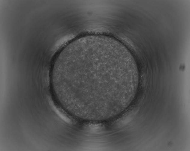 X0000092090638200710101102