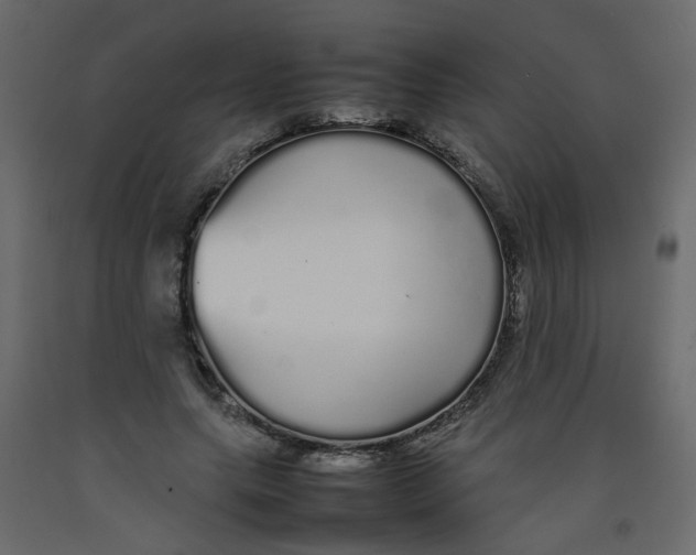 X0000092090639200710101102