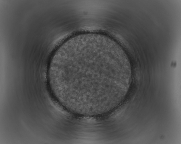 X0000092090640200710101102