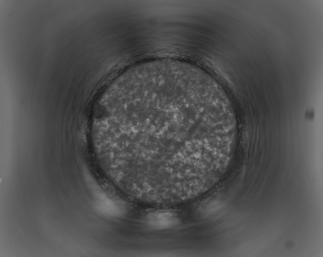 X0000092090643200710101102