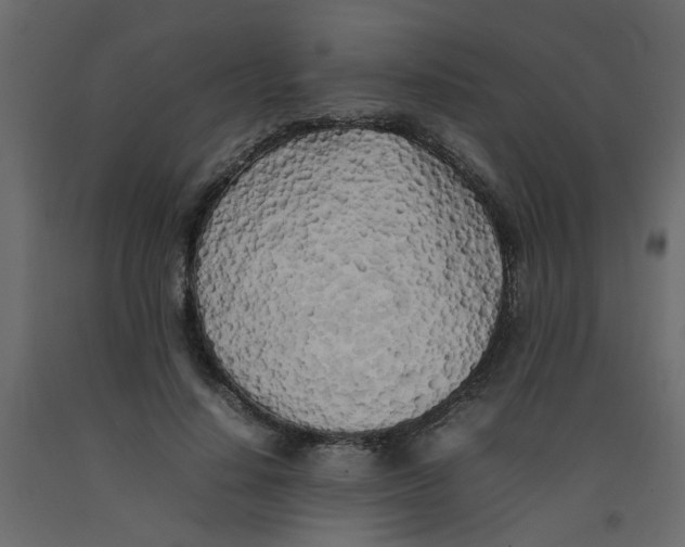 X0000092090644200710101102