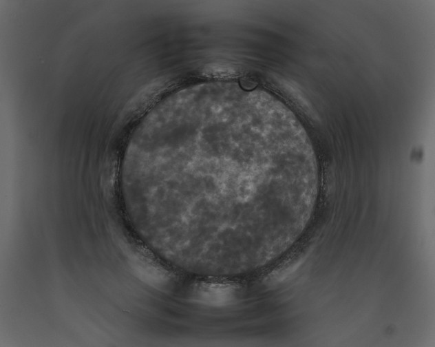 X0000092090645200710101102