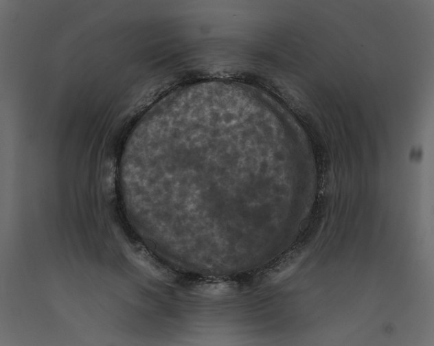 X0000092090646200710101102