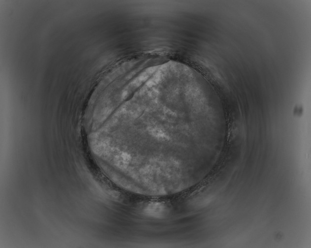 X0000092090647200710101102