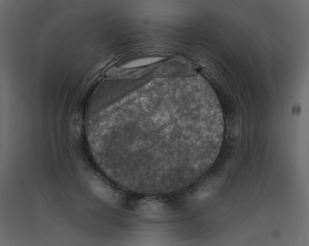 X0000092090648200710101102
