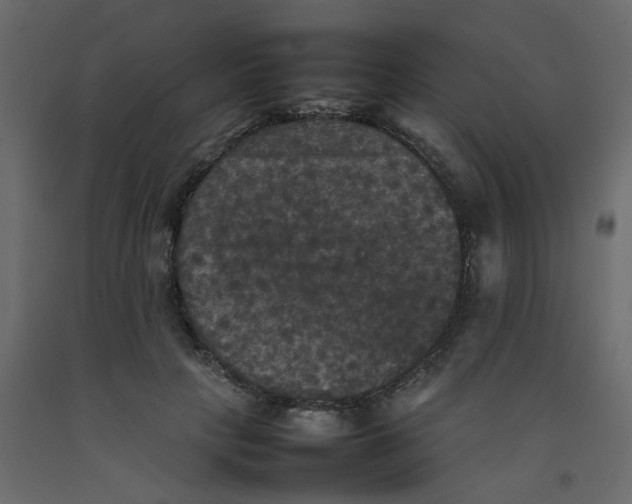 X0000092090649200710101102