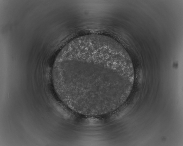 X0000092090650200710101102
