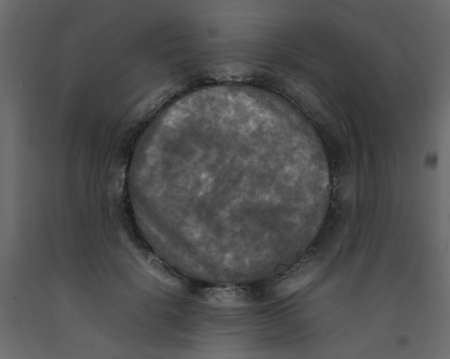 X0000092090652200710101102