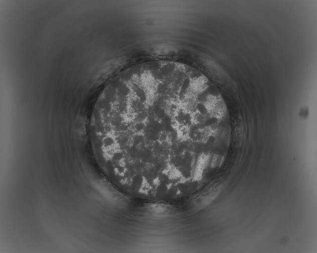 X0000092090654200710101102