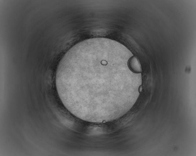 X0000092090655200710101102