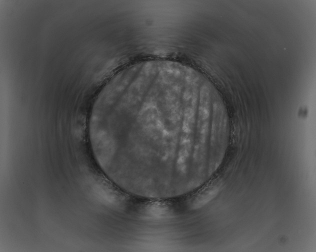 X0000092090656200710101102