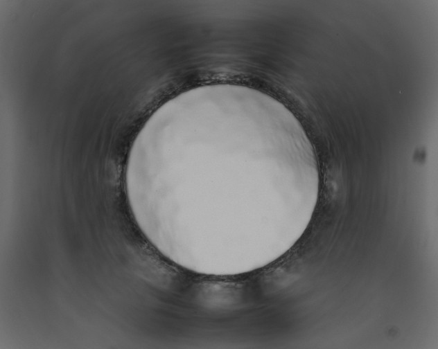 X0000092090657200710101102