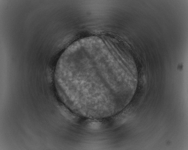 X0000092090658200710101102