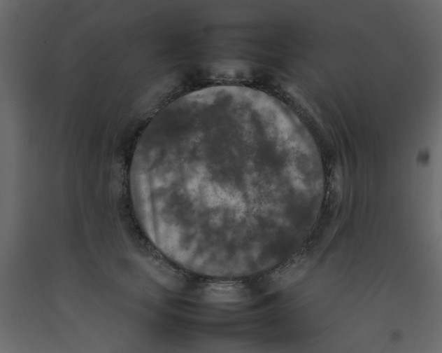 X0000092090659200710101102