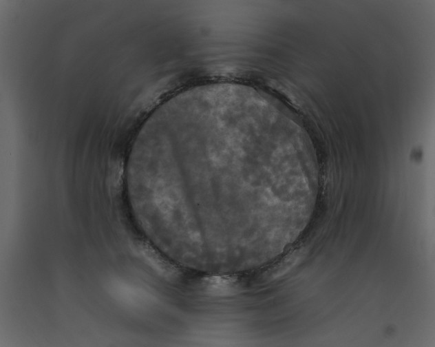 X0000092090660200710101102