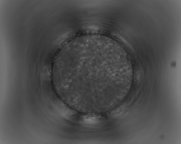 X0000092090661200710101102