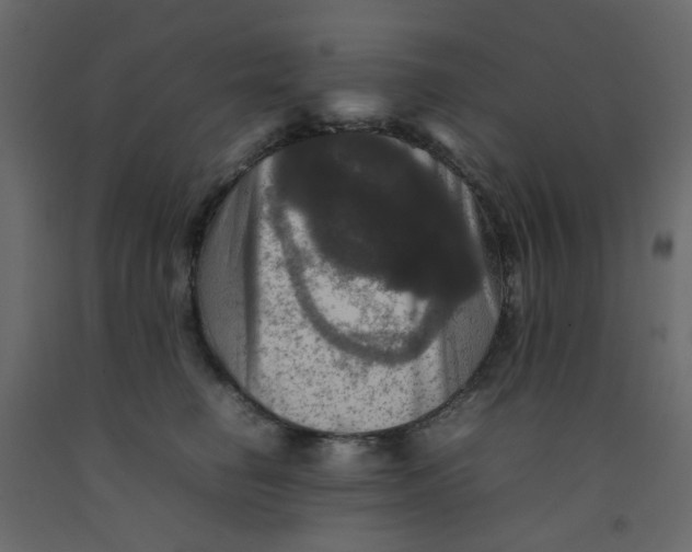 X0000092090662200710101102