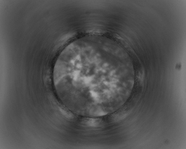X0000092090663200710101102