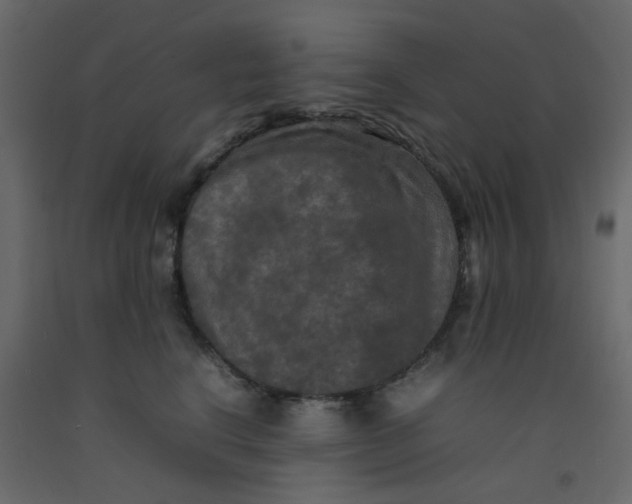 X0000092090664200710101102