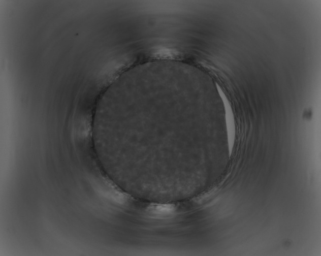 X0000092090665200710101102