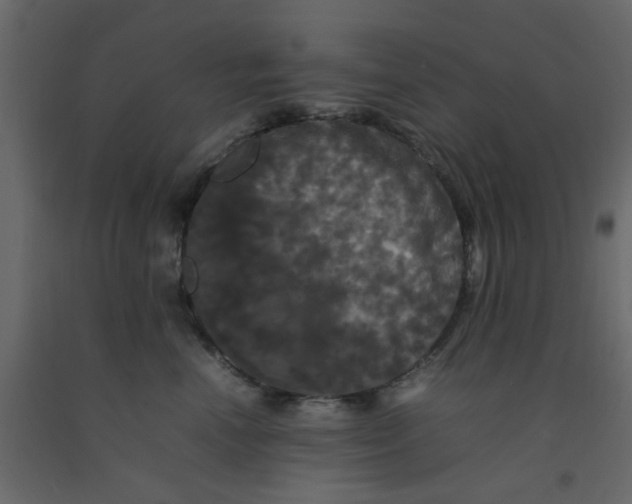 X0000092090666200710101102