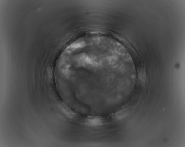 X0000092090667200710101102