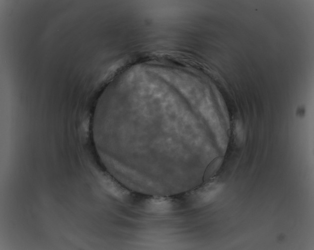 X0000092090668200710101102