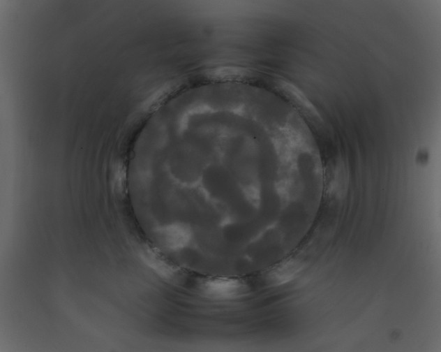 X0000092090669200710101102
