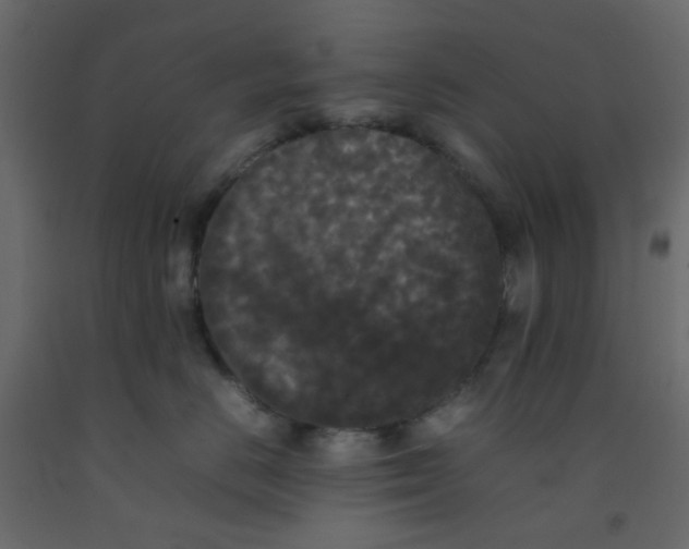 X0000092090670200710101102