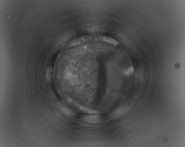 X0000092090671200710101102