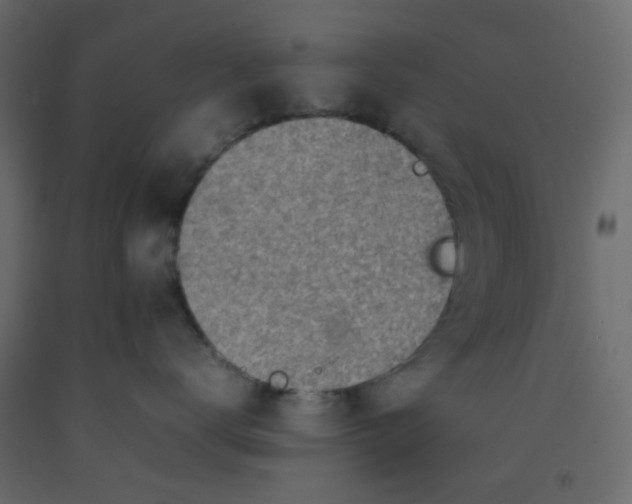 X0000092090672200710101102
