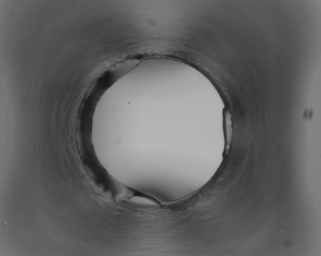 X0000092090673200710101101