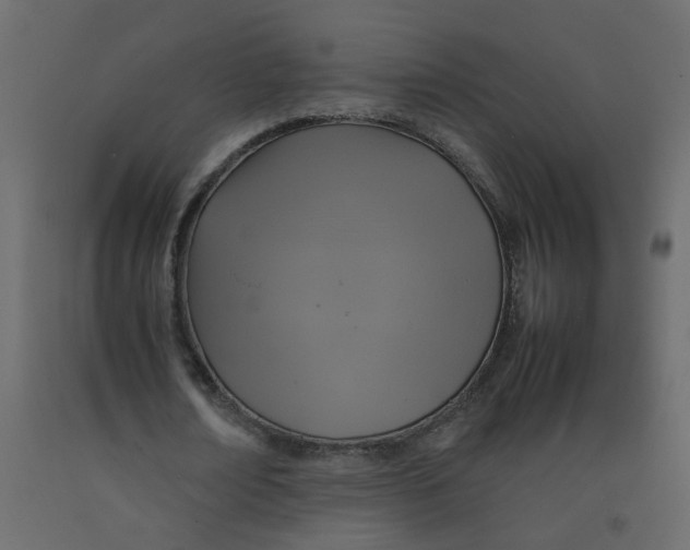 X0000092090674200710101101