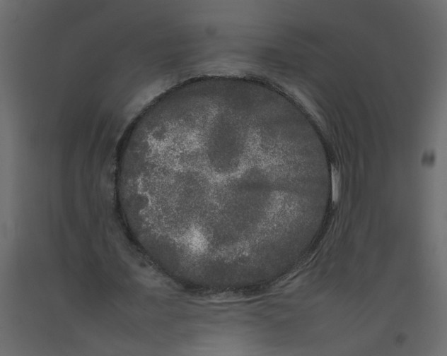 X0000092090675200710101101