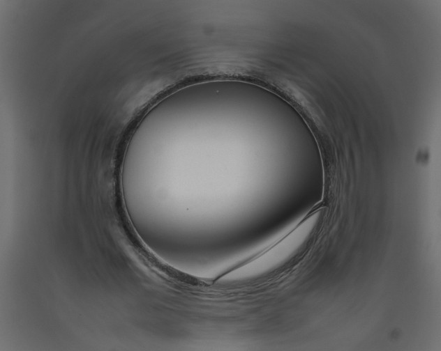 X0000092090677200710101101