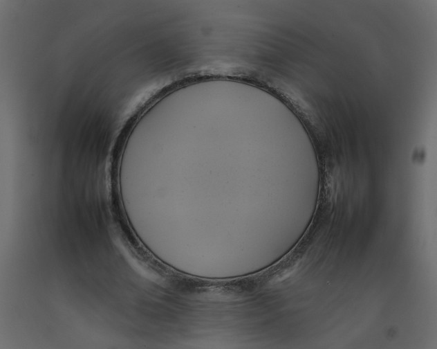 X0000092090678200710101101