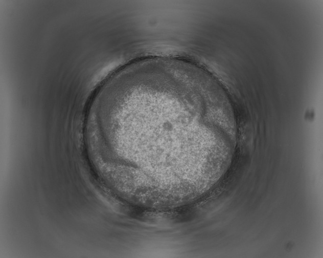 X0000092090679200710101101