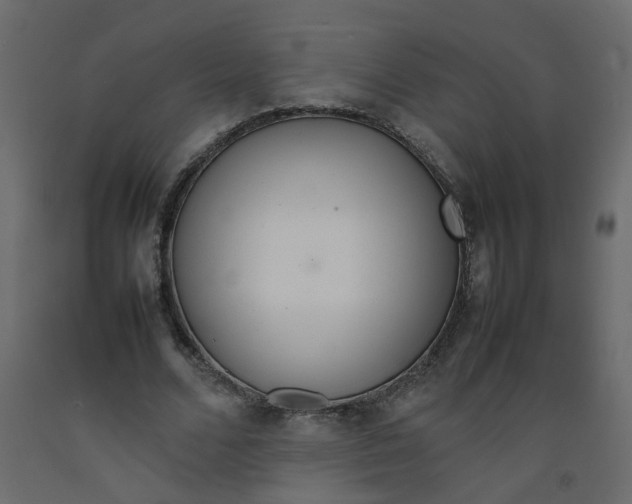 X0000092090680200710101101