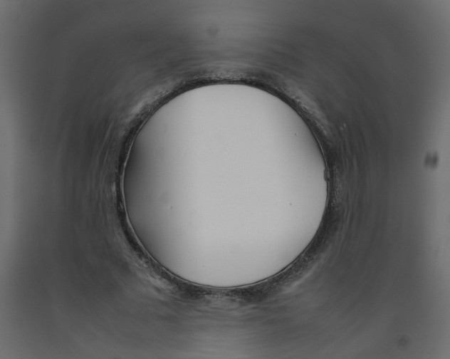 X0000092090681200710101101
